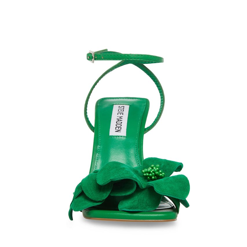 Steve Madden Amani Sandaler med Hæl Dame Grønn | RJYZG9071