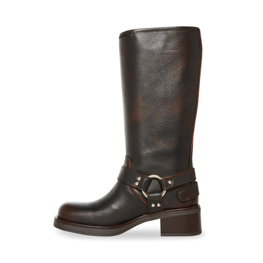 Steve Madden Axelle Lær Høye Støvletter Dame Mørke Brune | HKDQS4987