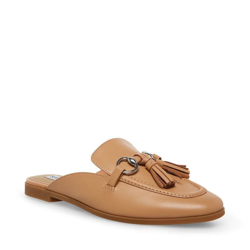 Steve Madden Cayler Lær Mules Sko Dame Brune | SYOGT3172