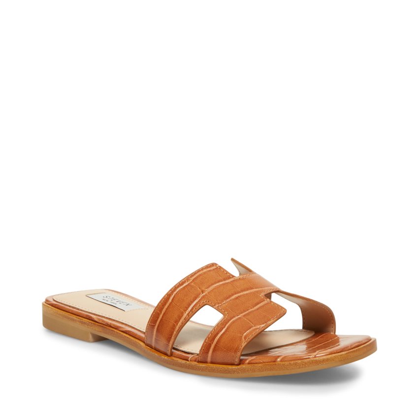 Steve Madden Hadyn Badesandaler Dame Brune | HCGUK6297