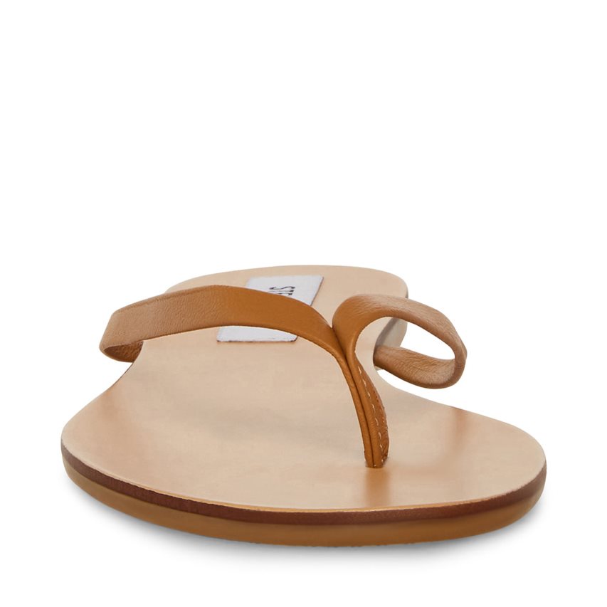 Steve Madden Image Lær Flip Flops Dame Brune | EONDA9164