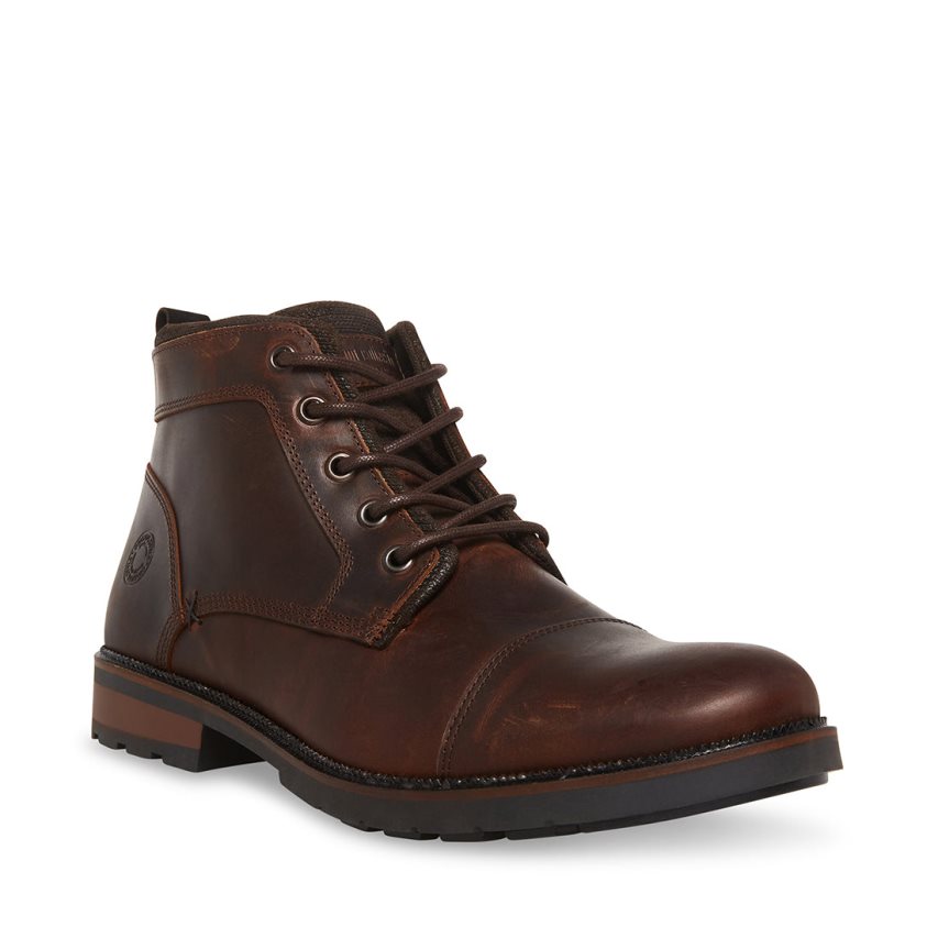 Steve Madden Lanier Lær Ankelstøvletter Herre Mørke Brune | NVJPS6740