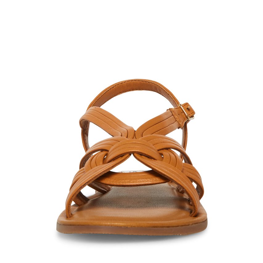 Steve Madden Prim Flate Sandaler Dame Brune | UHDGS1457