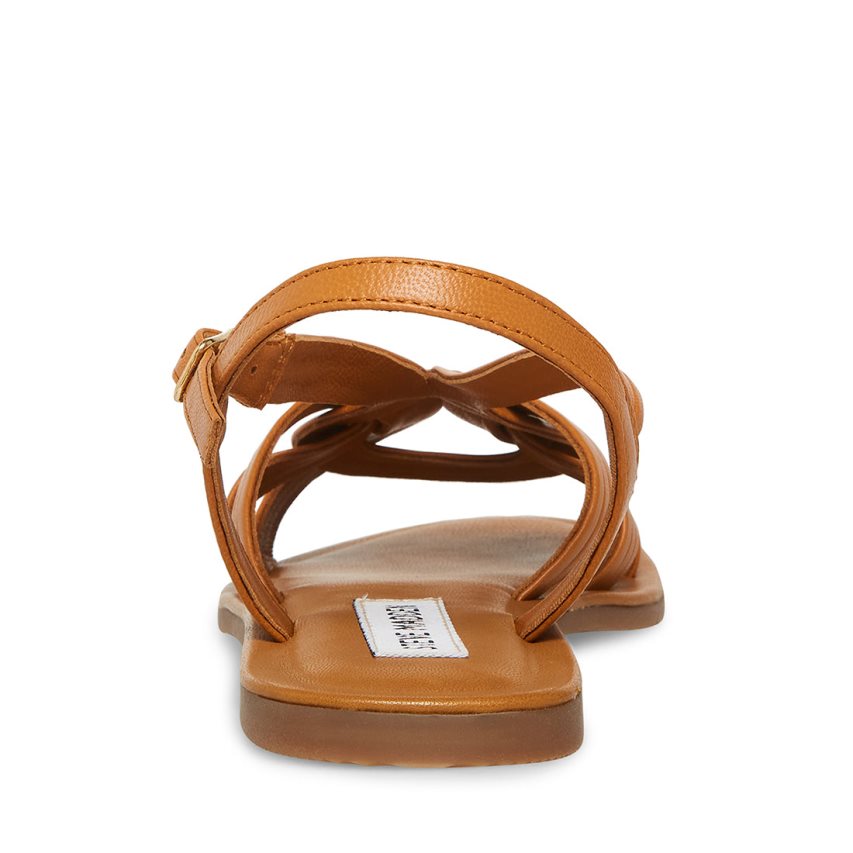 Steve Madden Prim Flate Sandaler Dame Brune | UHDGS1457