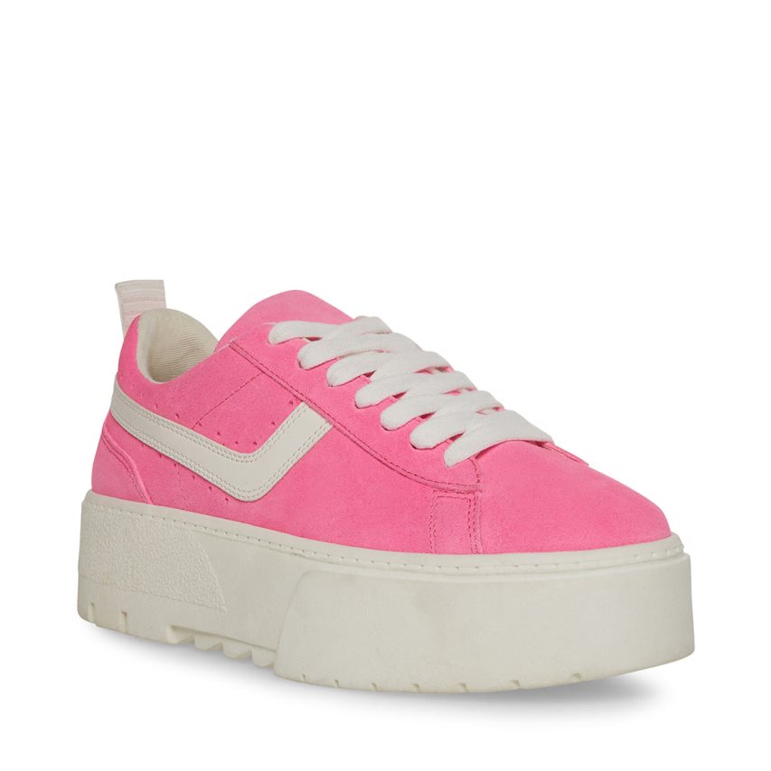 Steve Madden Rorri Semsket Skinn Platform Sko Dame Rosa | PJQTH8526