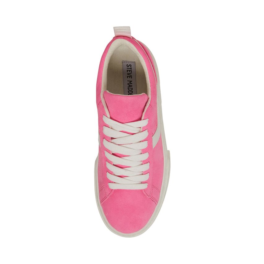 Steve Madden Rorri Semsket Skinn Platform Sko Dame Rosa | PJQTH8526