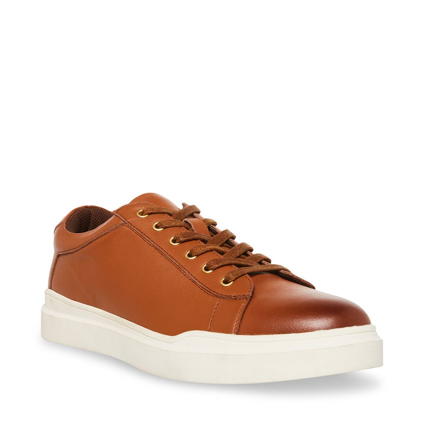 Steve Madden Tilton Lær Joggesko Herre Brune | XQEKB1087