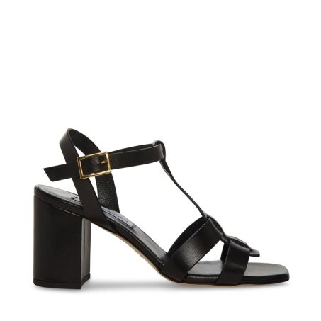 Steve Madden Waverly Lær Sandaler med Hæl Dame Svarte | EQMNA5762